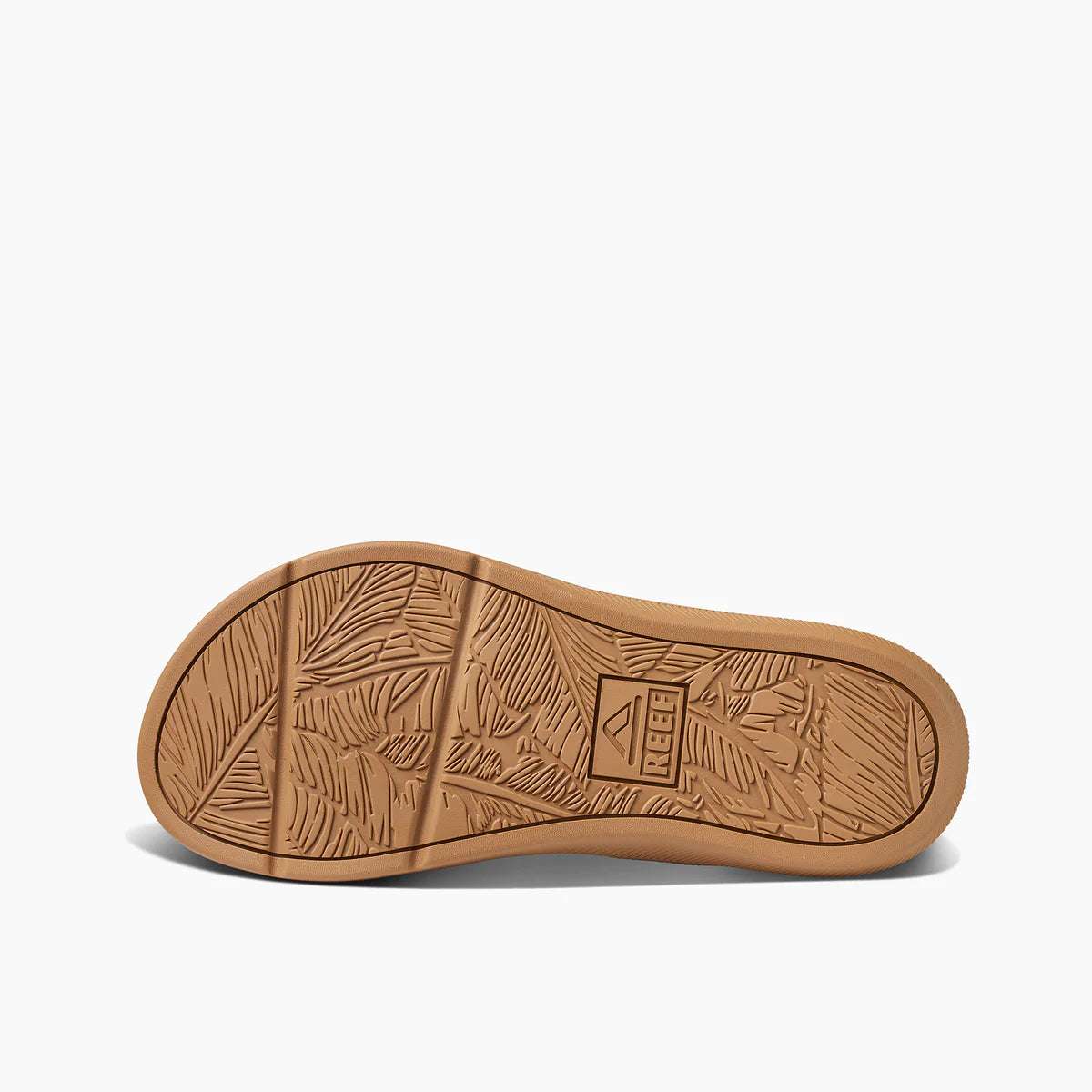 Reef Santa Ana - Cloud | Reef |