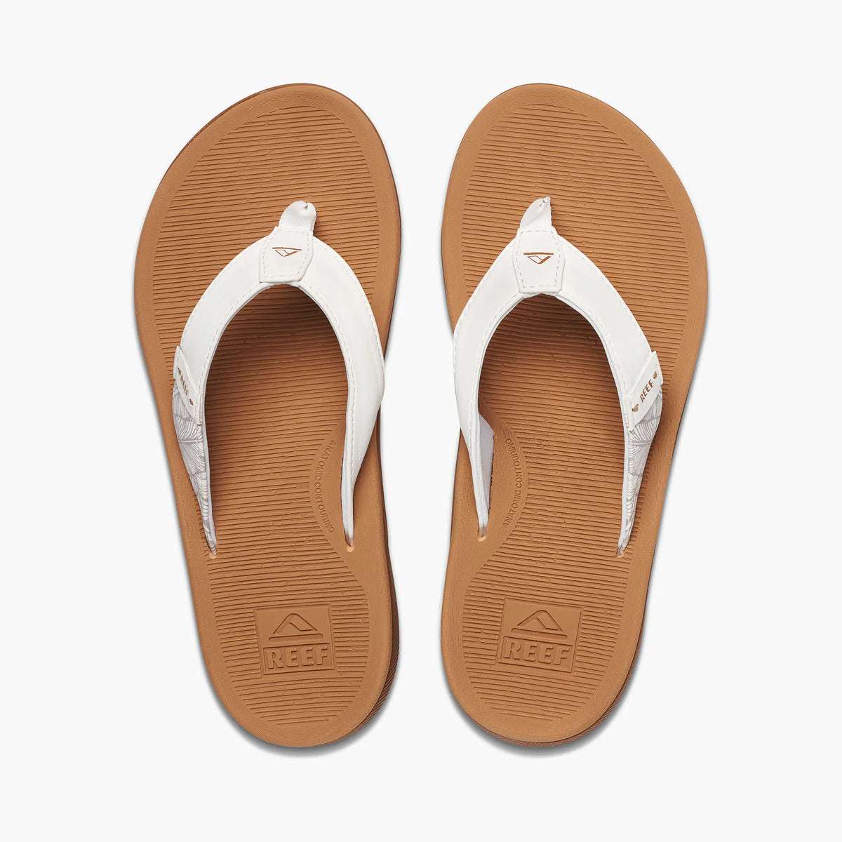 Reef Santa Ana - Cloud | Reef |