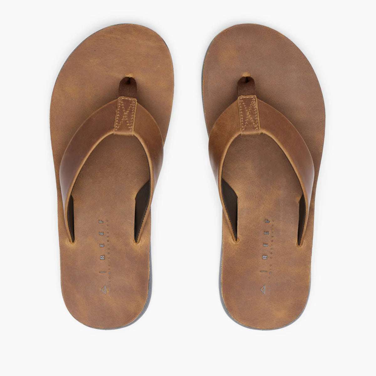 Reef Ojai Classic - Dark Brown Suede | Reef |