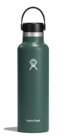 Hydro Flask 21 OZ Standard Flex Cap (FIR) Fir | Hydro Flask | Water Bottle