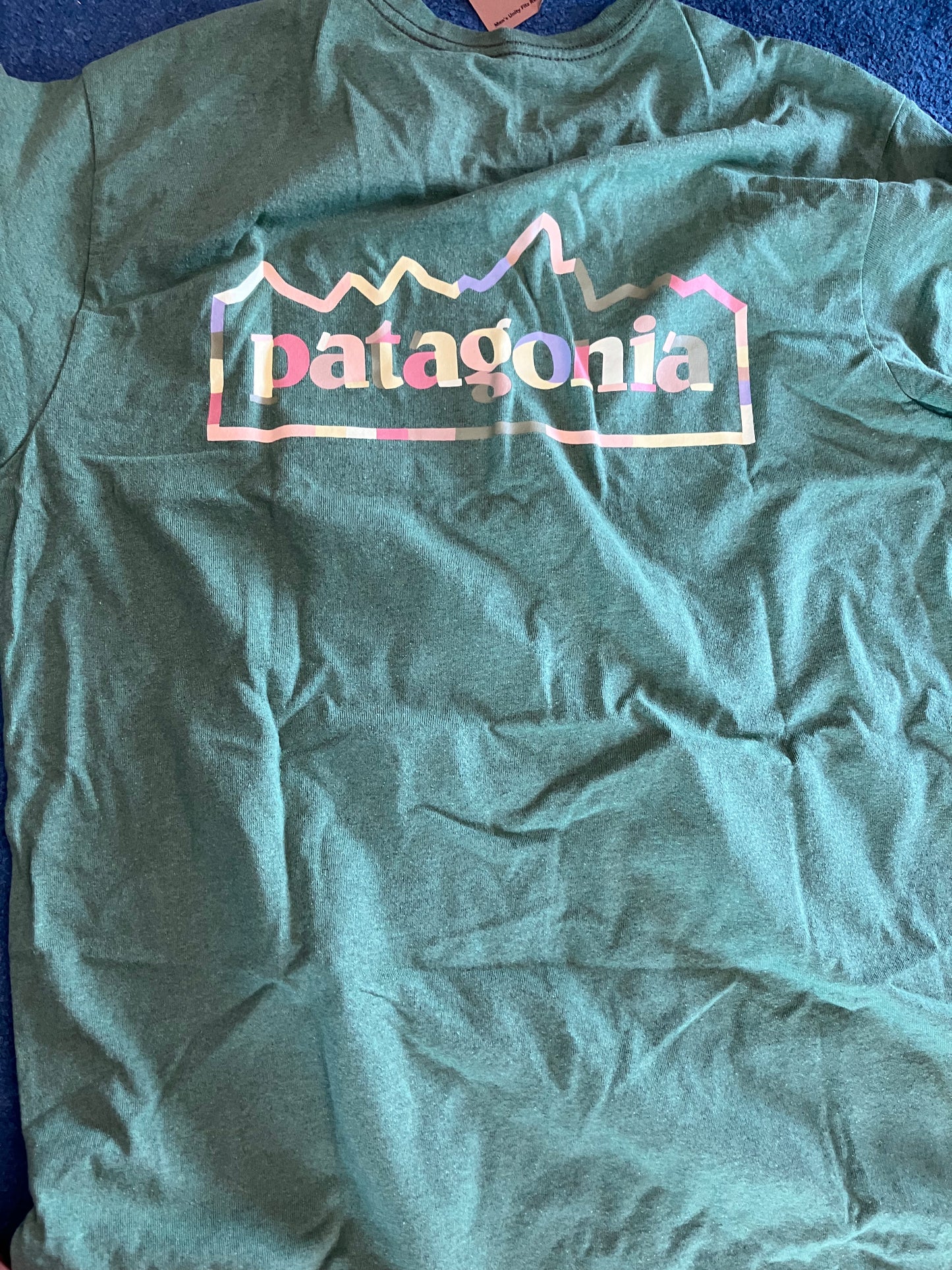Patagonia Unity Fitz Responsibili T-shirt-Terrain Green | Patagonia |