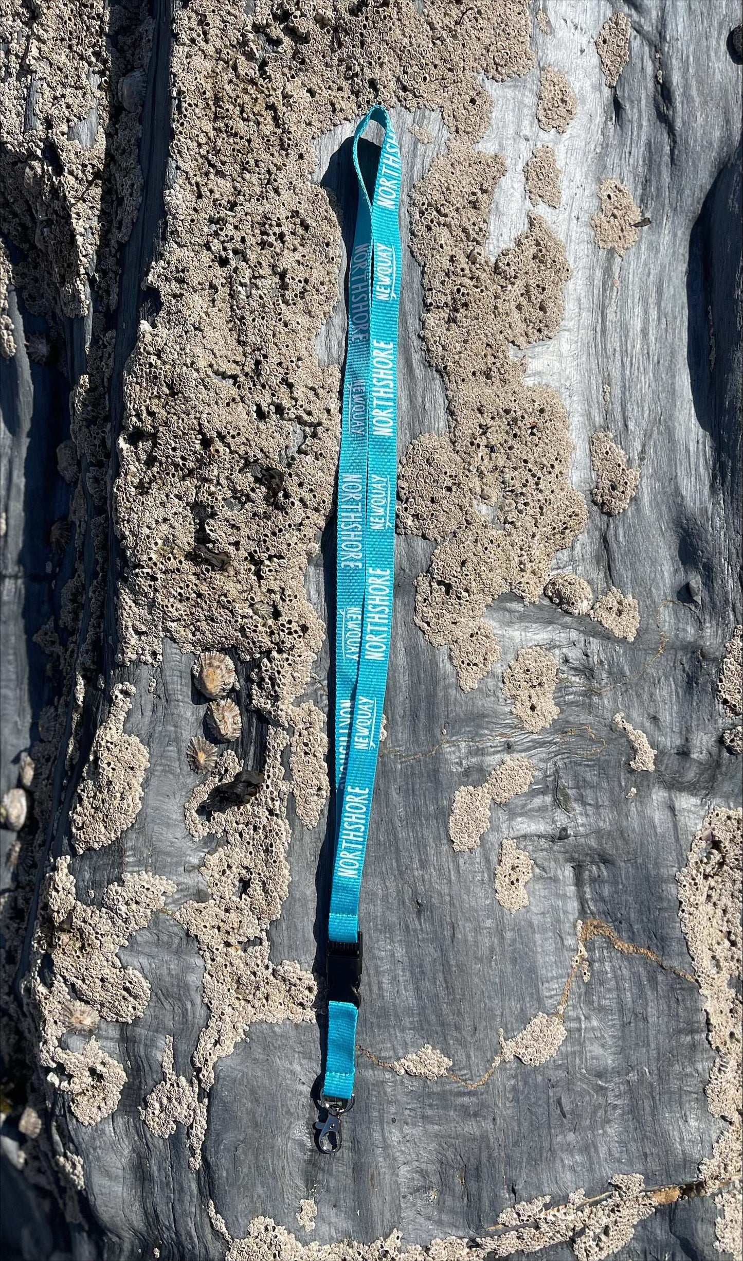 Northshore logo lanyard Lagoon Blue | Northshore Surf Shop |