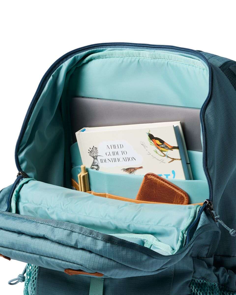 Cotopaxi Clase 28L Daypack-Everglade | Cotopaxi | Backpacks - Northshore Newquay - Surf/Skate Shop