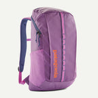 Patagonia Black Hole® Pack 25L Brisk Purple | Patagonia |
