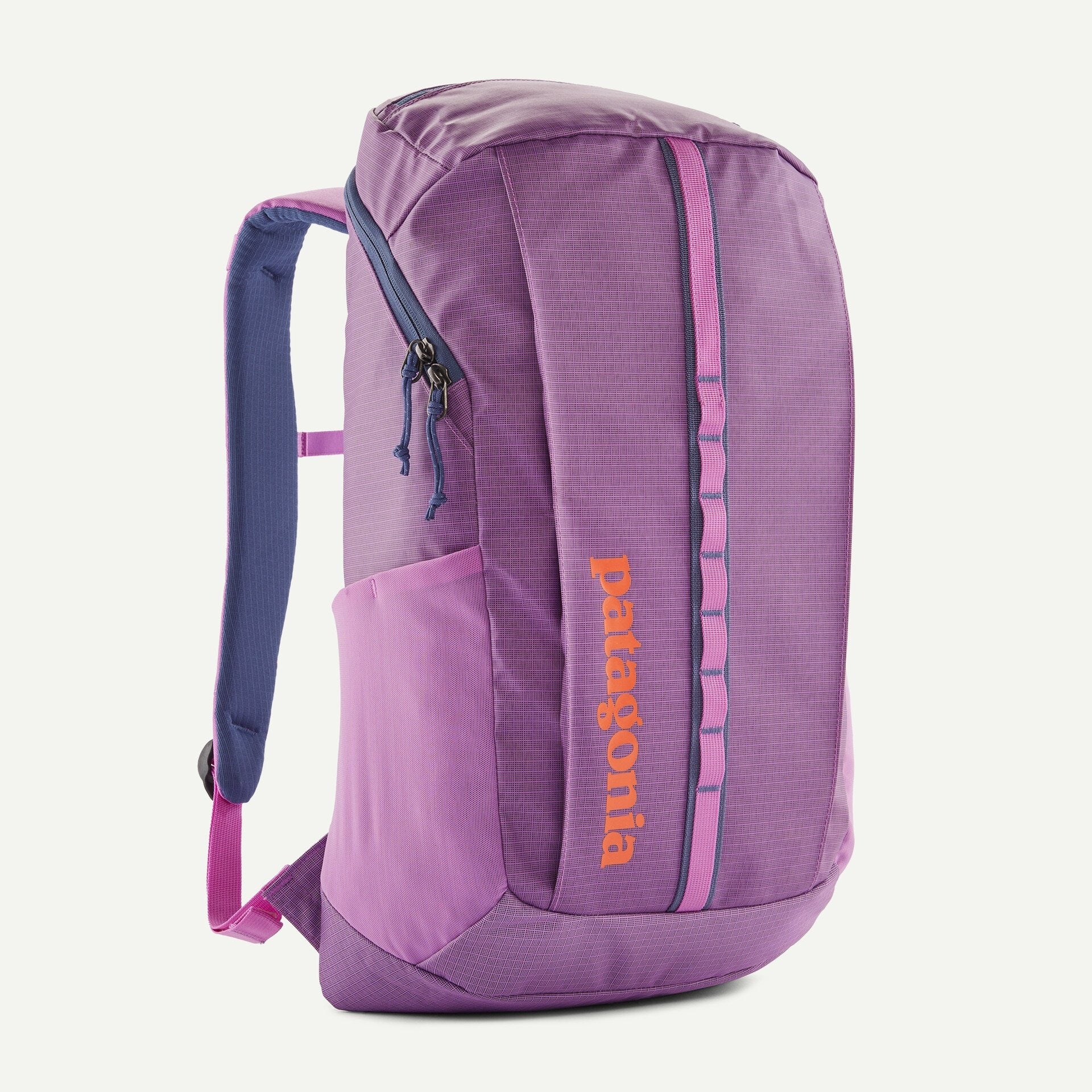 Patagonia Black Hole® Pack 25L Brisk Purple | Patagonia |