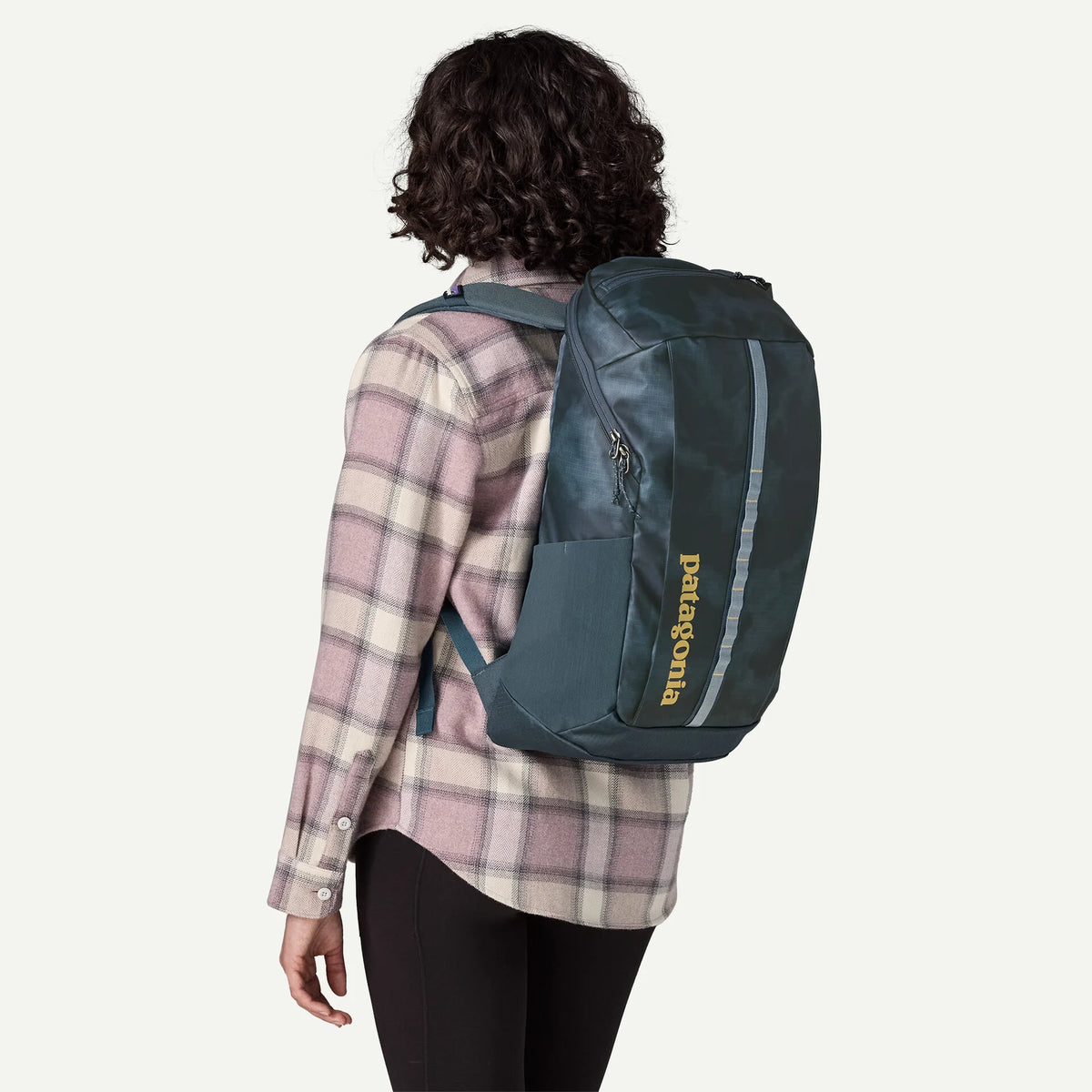 Patagonia Black Hole® Pack 25L-Sastrugi: Summit Blue