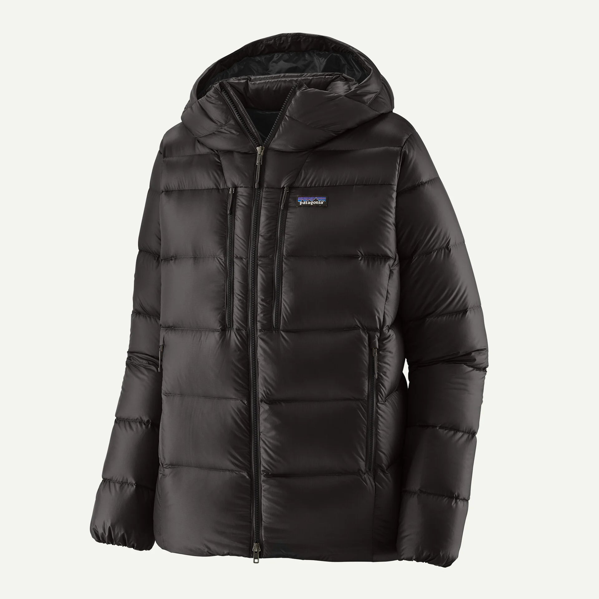 Patagonia Men's Fitz Roy Down Hoody-Black