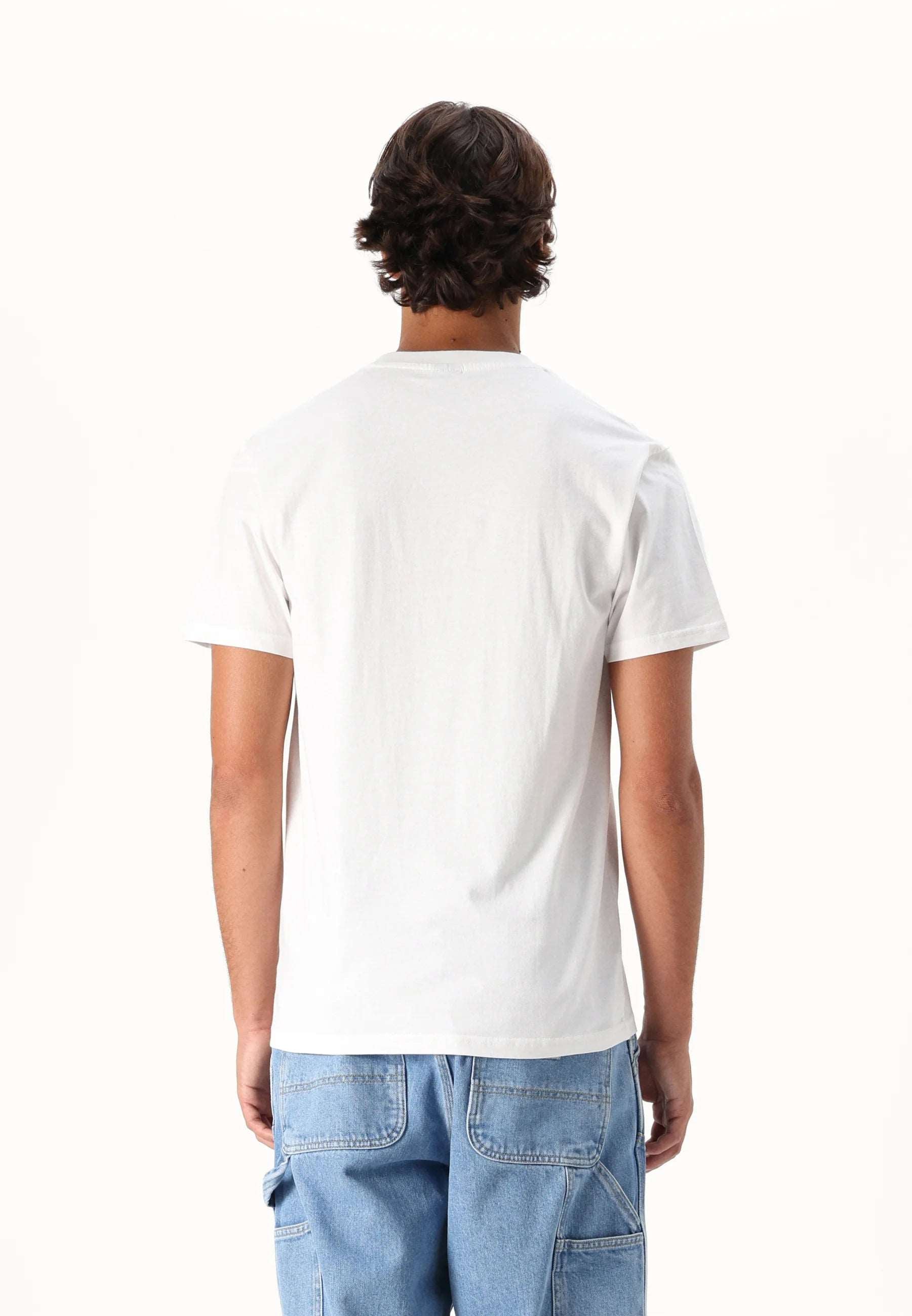 SANTA CRUZ MEN'S SOMMER SPARROW T SHIRT - WHITE | Santa Cruz |