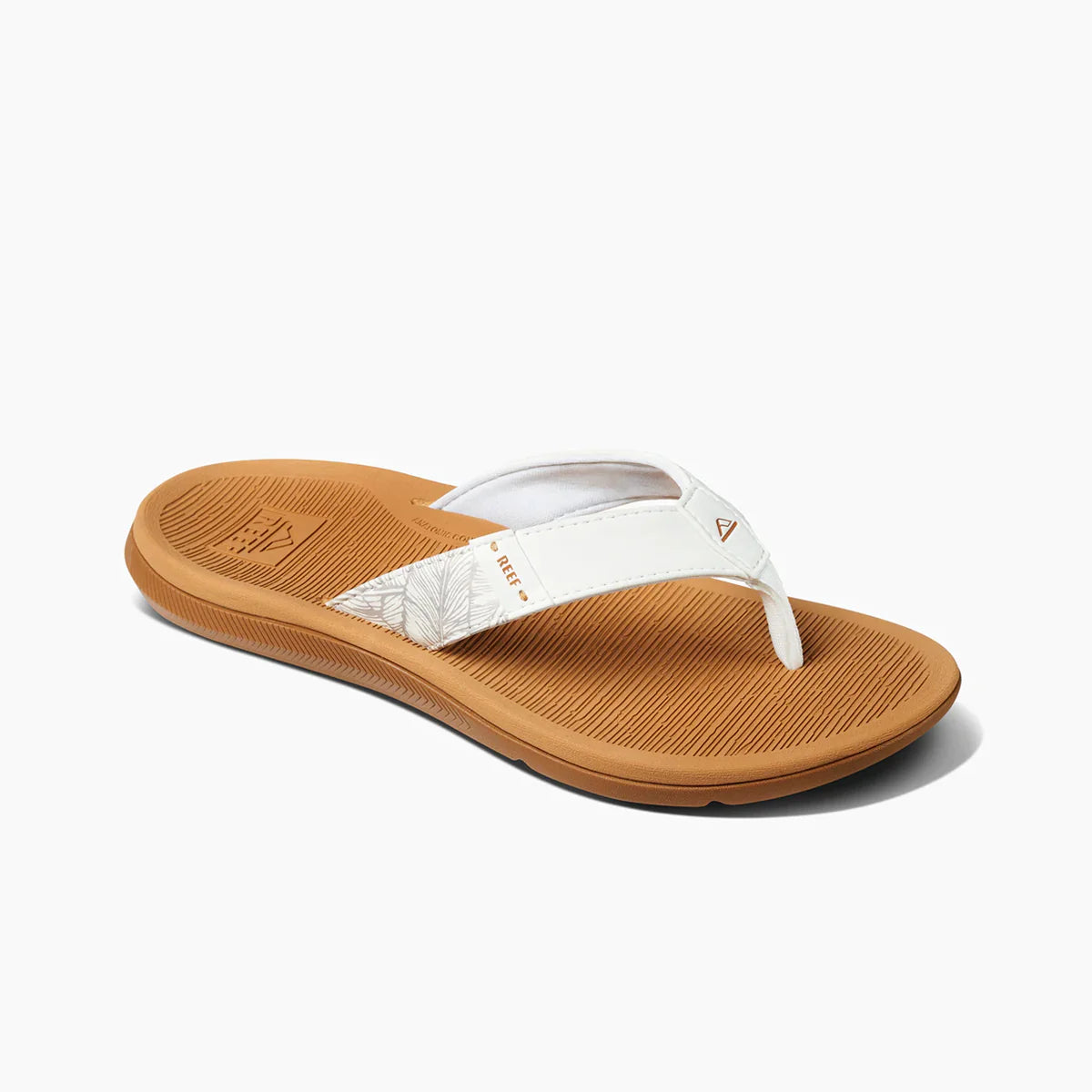 Reef Santa Ana - Cloud | Reef |
