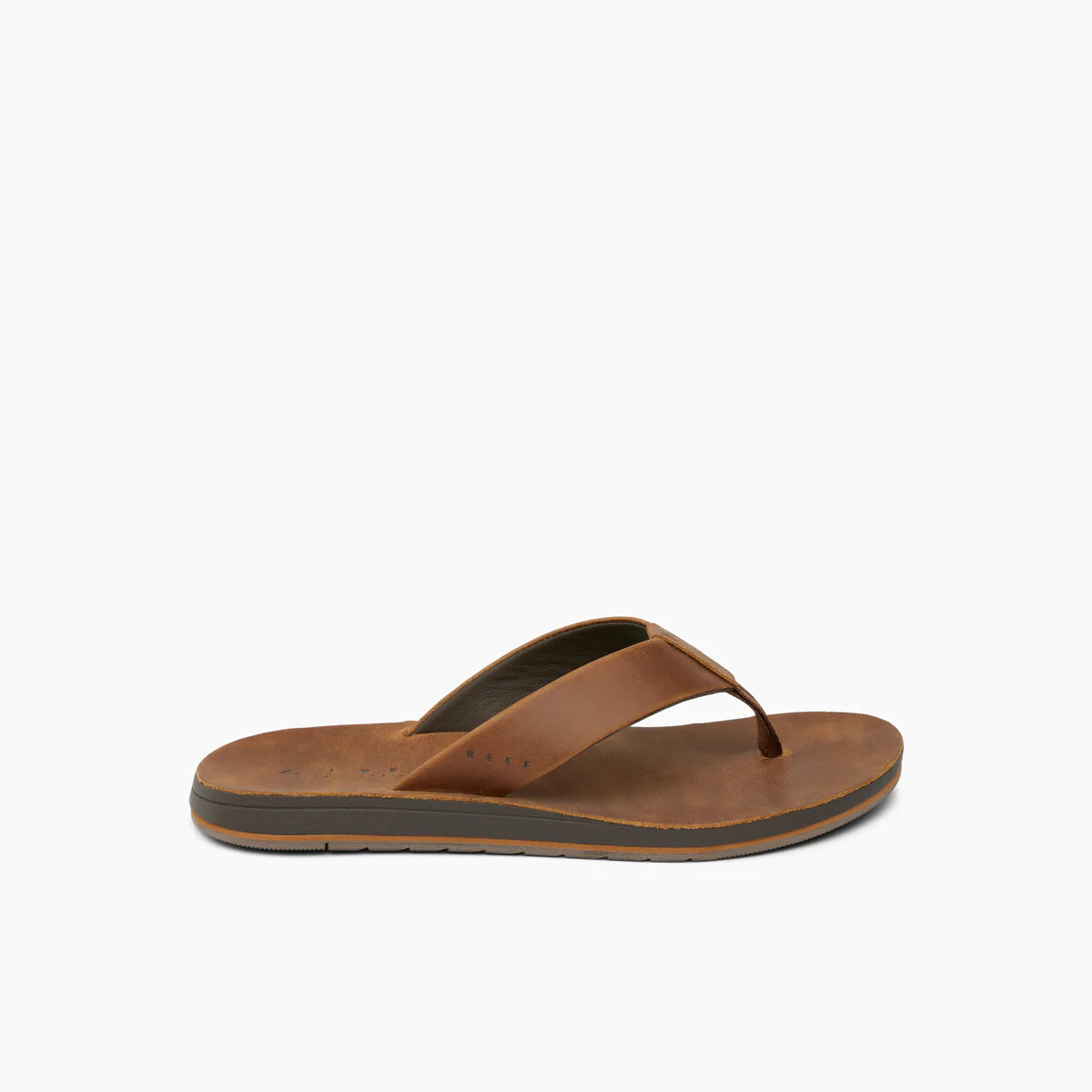 Reef Ojai Classic - Dark Brown Suede | Reef |