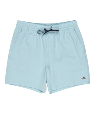 Billabong Every Other Day Shorts- Dusty Blue XXL | Billabong | Shorts