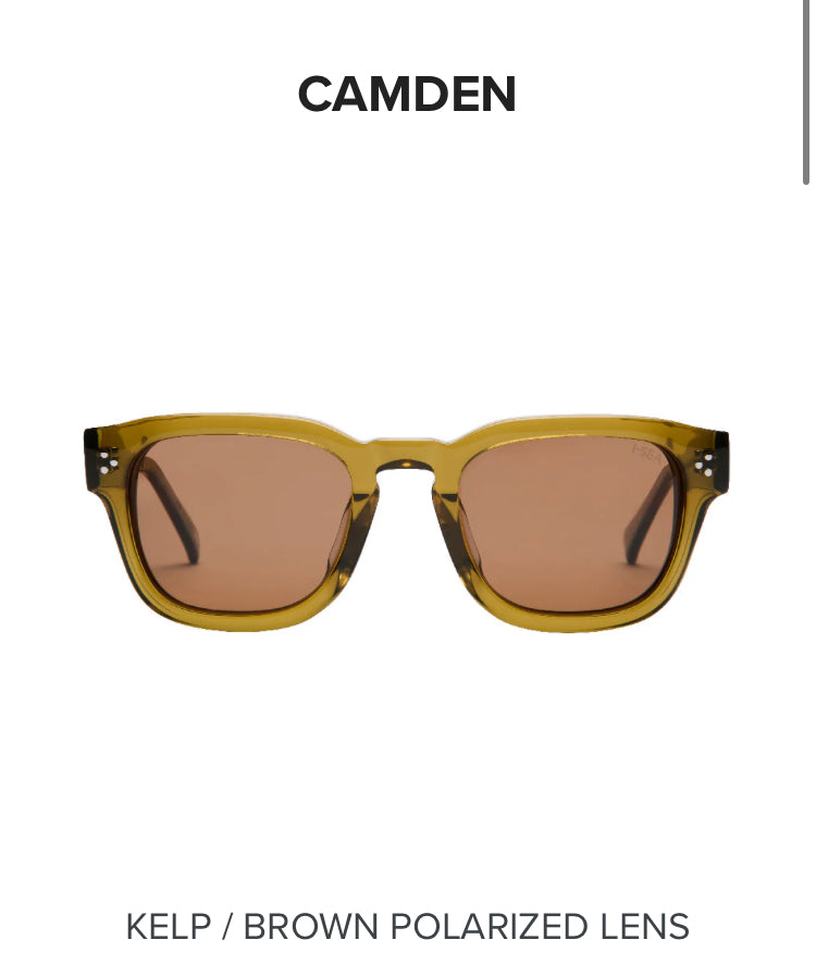I-sea Camden Polarized sunglasses Kelp brown | I-sea | Sunglasses - Northshore Newquay - Surf/Skate Shop