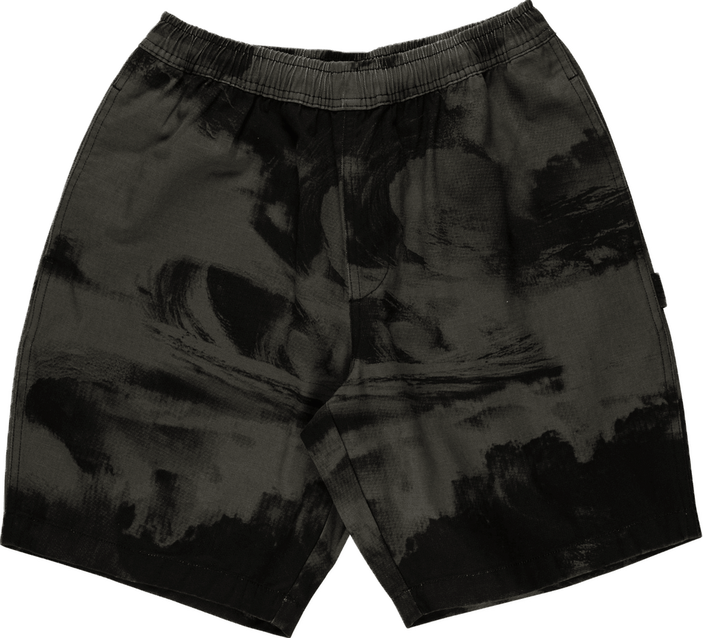 Santa Cruz Painters short (Blk Crash) | Santa Cruz | Shorts