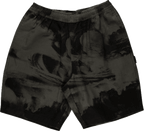 Santa Cruz Painters short (Blk Crash) | Santa Cruz | Shorts