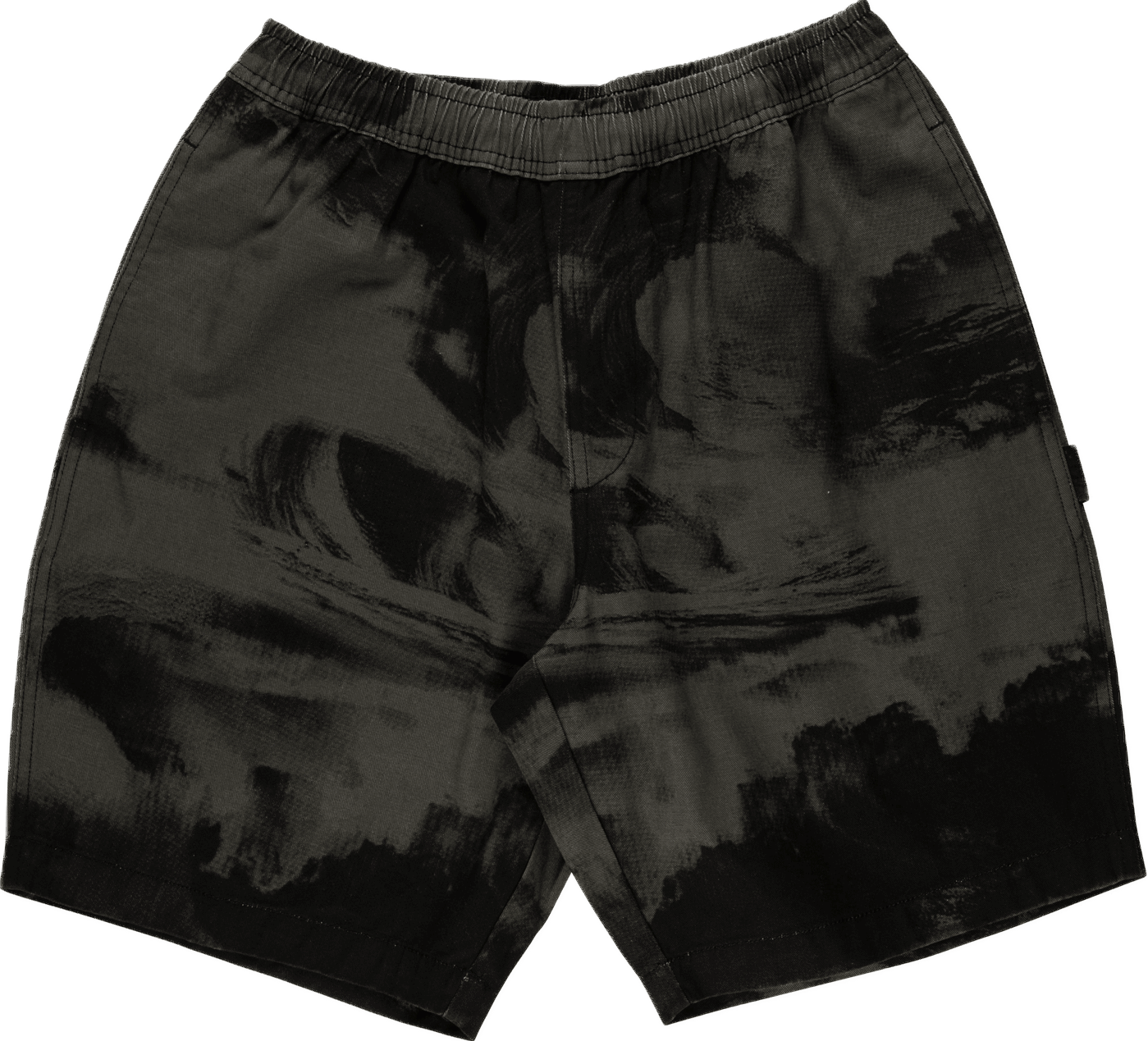 Santa Cruz Painters short (Blk Crash) | Santa Cruz | Shorts