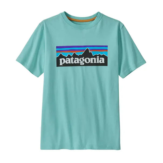 Patagonia Kids Regenerative Organic Certified Cotton P6 logo T-Shirt (SB) M SB | Patagonia |