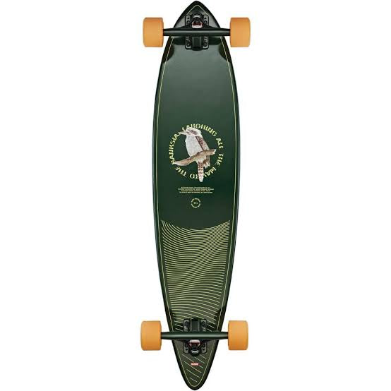 Globe Kookaburra 37" Pintail Longboard | Globe | skateboard - Northshore Newquay - Surf/Skate Shop