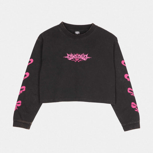 Santa Cruz Evolve Strip Long Sleeve T-Shirt-Black Wash | Santa Cruz | Sweatshirt