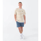 Hurley Naturals Stripe T-shirt - Barely Bone | Hurley | T Shirt