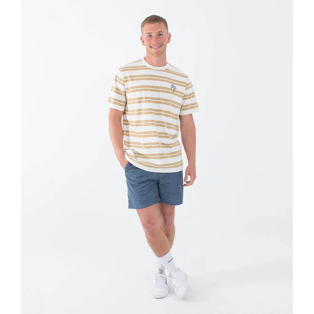 Hurley Naturals Stripe T-shirt - Barely Bone | Hurley | T Shirt