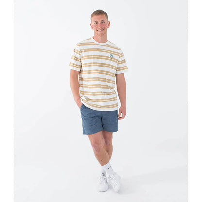 Hurley Naturals Stripe T-shirt - Barely Bone | Hurley | T Shirt